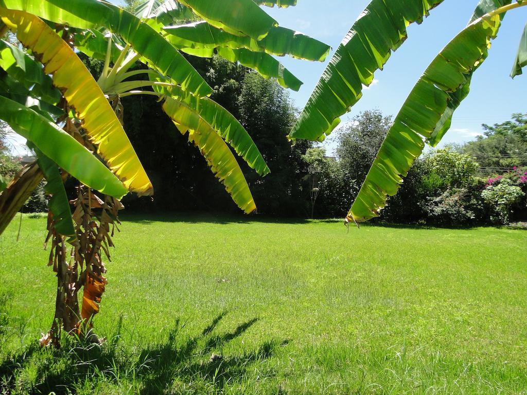 El Molino Hotel Boutique Río Verde 外观 照片