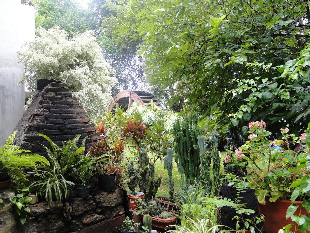 El Molino Hotel Boutique Río Verde 外观 照片