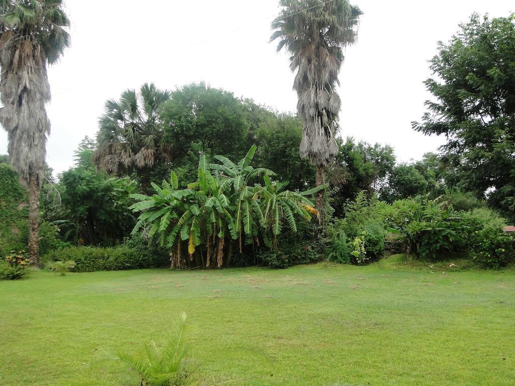 El Molino Hotel Boutique Río Verde 外观 照片